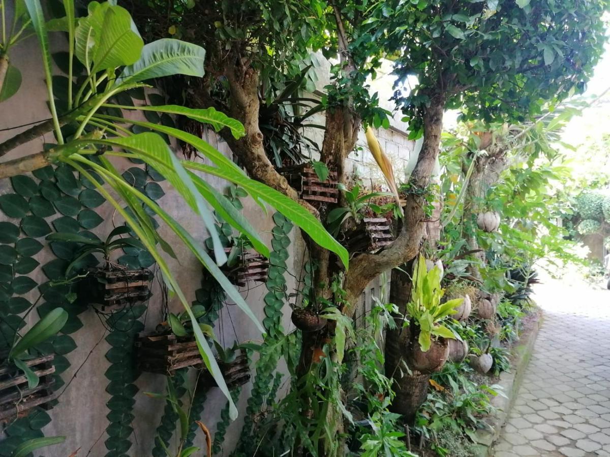 Coliving Bali Sweet Home Kost Lengkap Di Tabanan Kota Екстер'єр фото