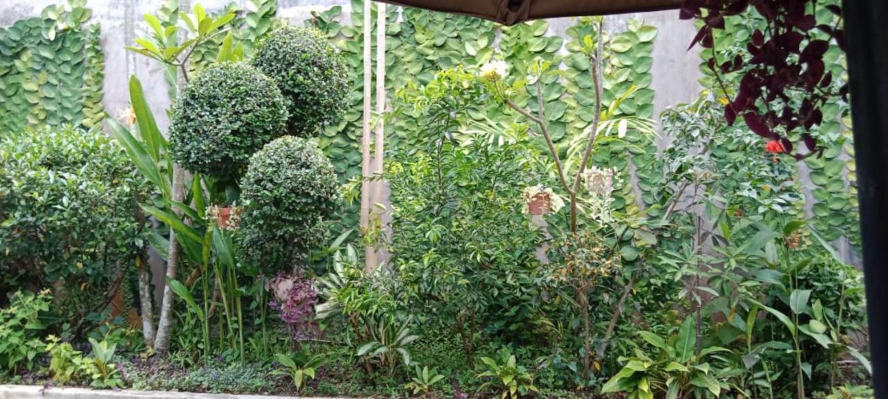 Coliving Bali Sweet Home Kost Lengkap Di Tabanan Kota Екстер'єр фото