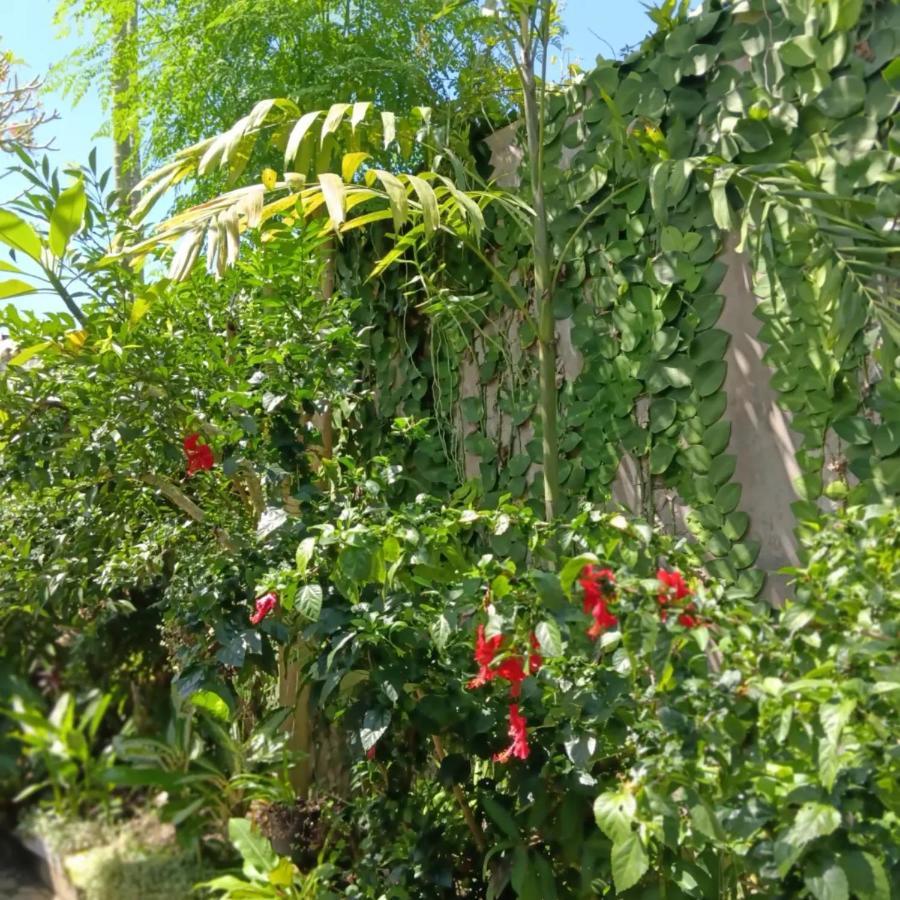 Coliving Bali Sweet Home Kost Lengkap Di Tabanan Kota Екстер'єр фото