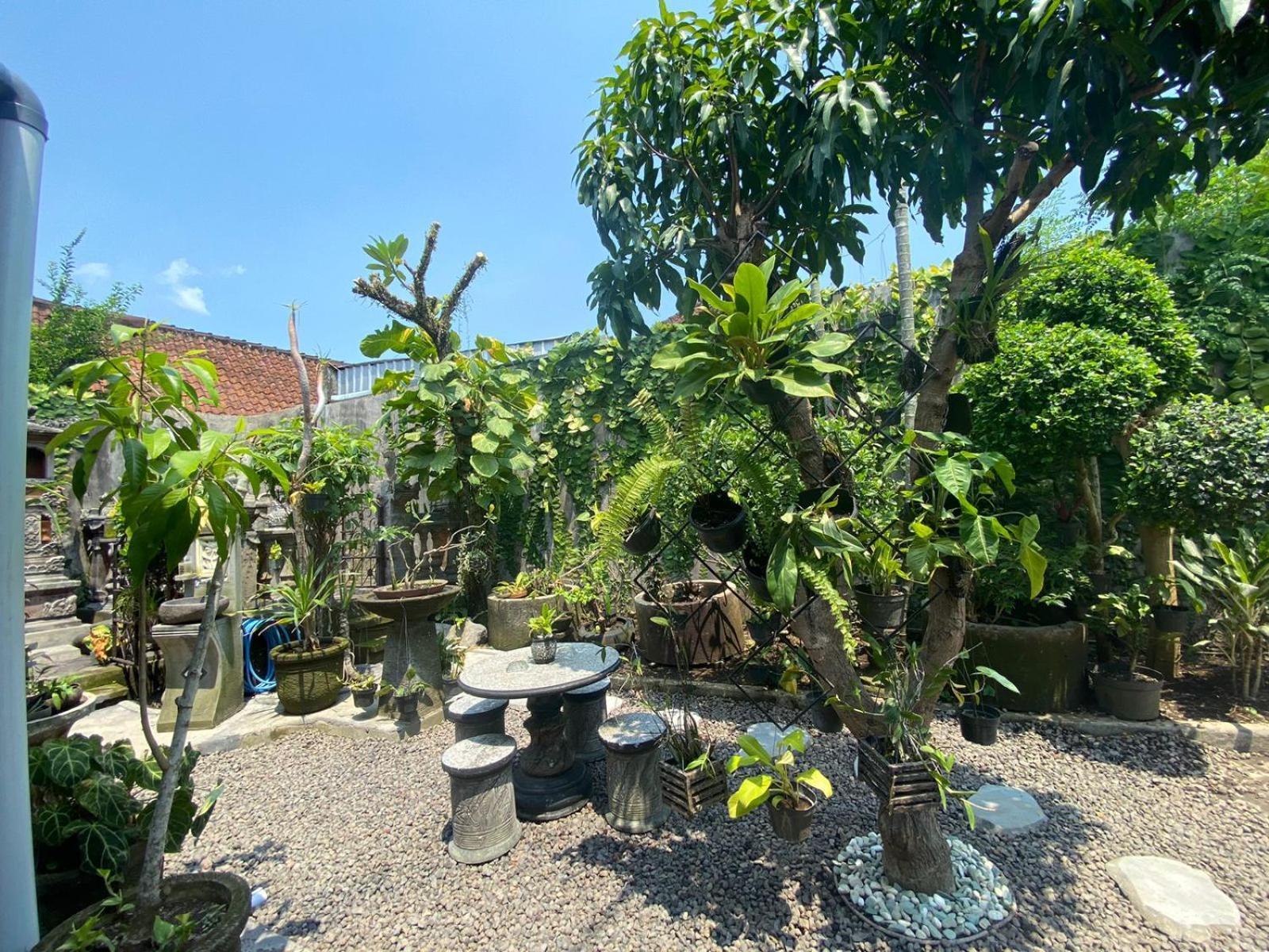 Coliving Bali Sweet Home Kost Lengkap Di Tabanan Kota Екстер'єр фото