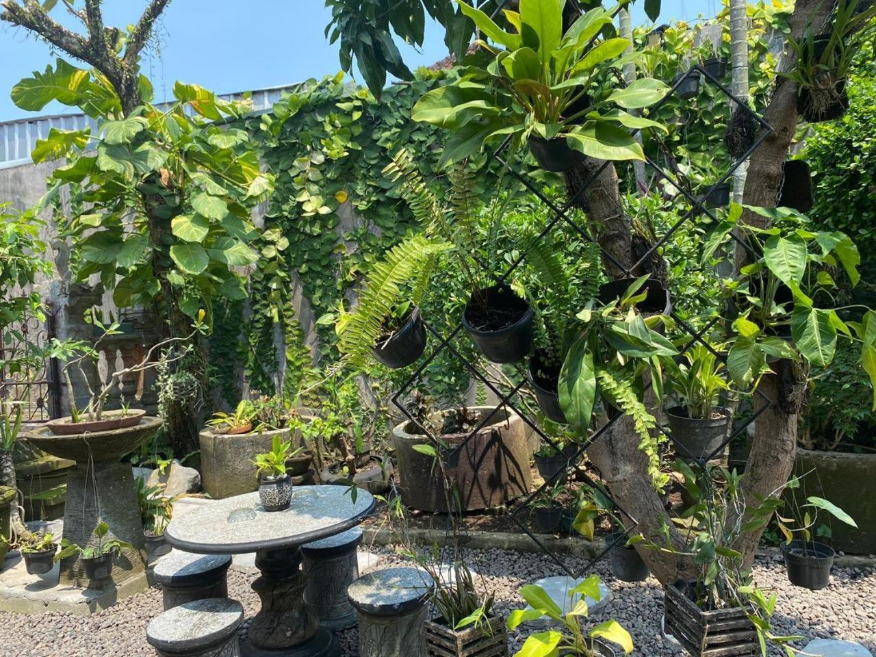 Coliving Bali Sweet Home Kost Lengkap Di Tabanan Kota Екстер'єр фото